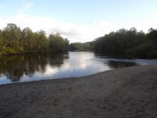 DSCF1854.jpg