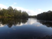DSCF1856.jpg